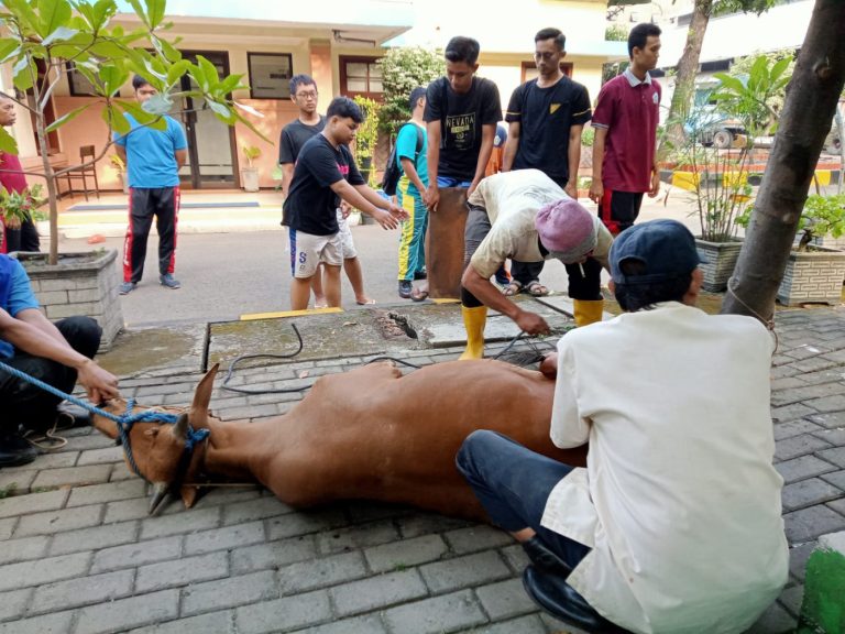 Iduladha 1447 H – Kegiatan Penyembelihan Hewan Kurban
